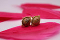 Boucles d'oreilles Royal en Jaspe paysage