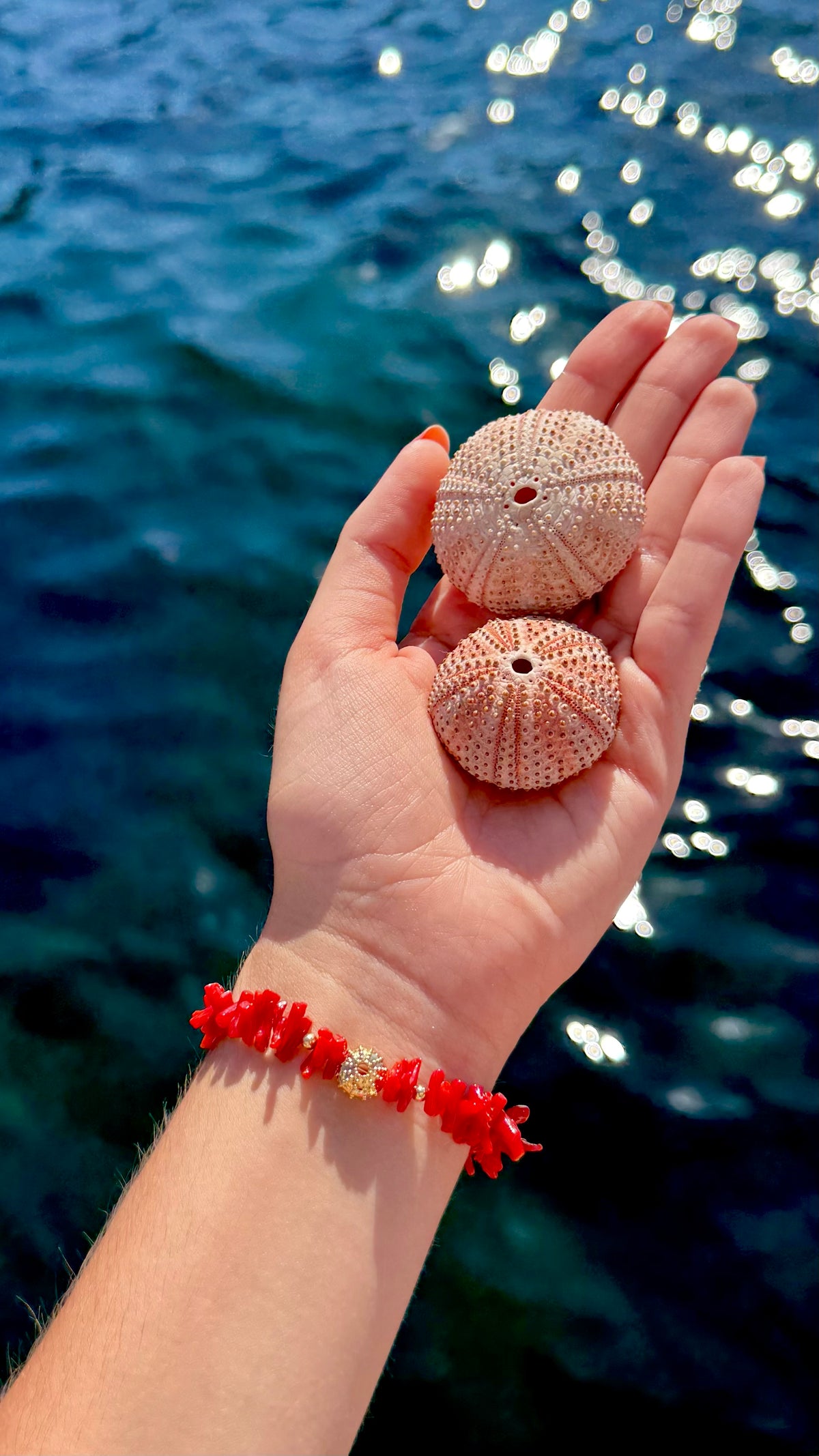Bracelet « Oursin » Corail de Bonifacio