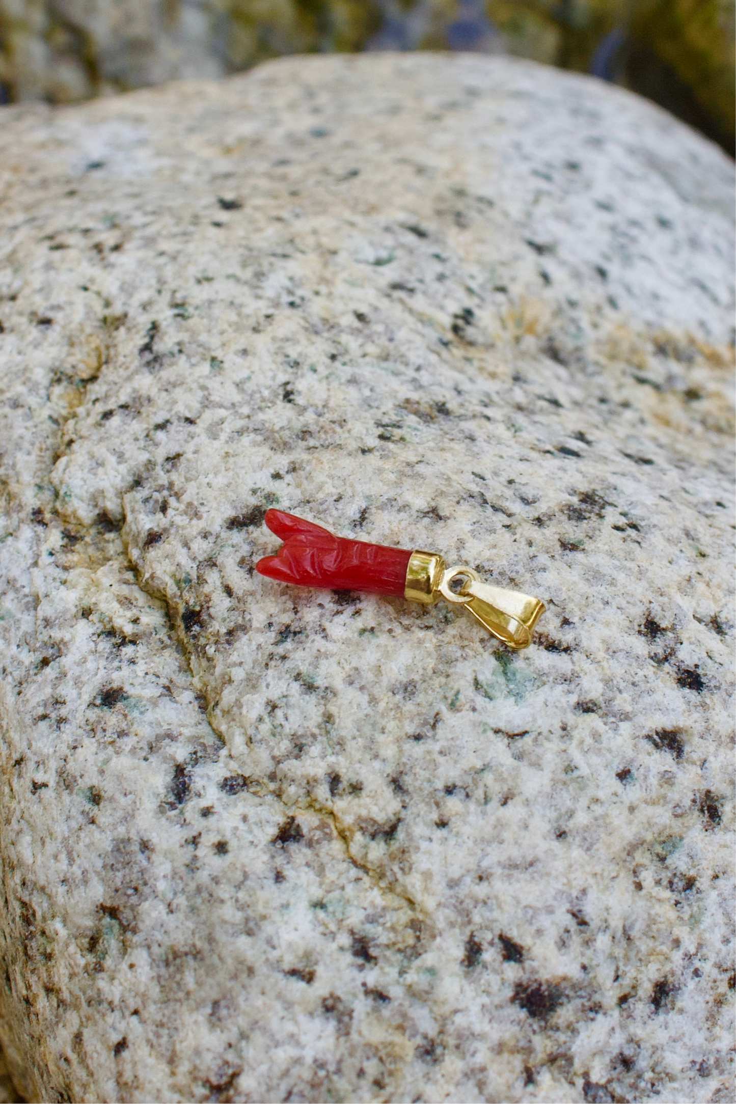 Pendentif « Corne » en Corail Corse et Or 925