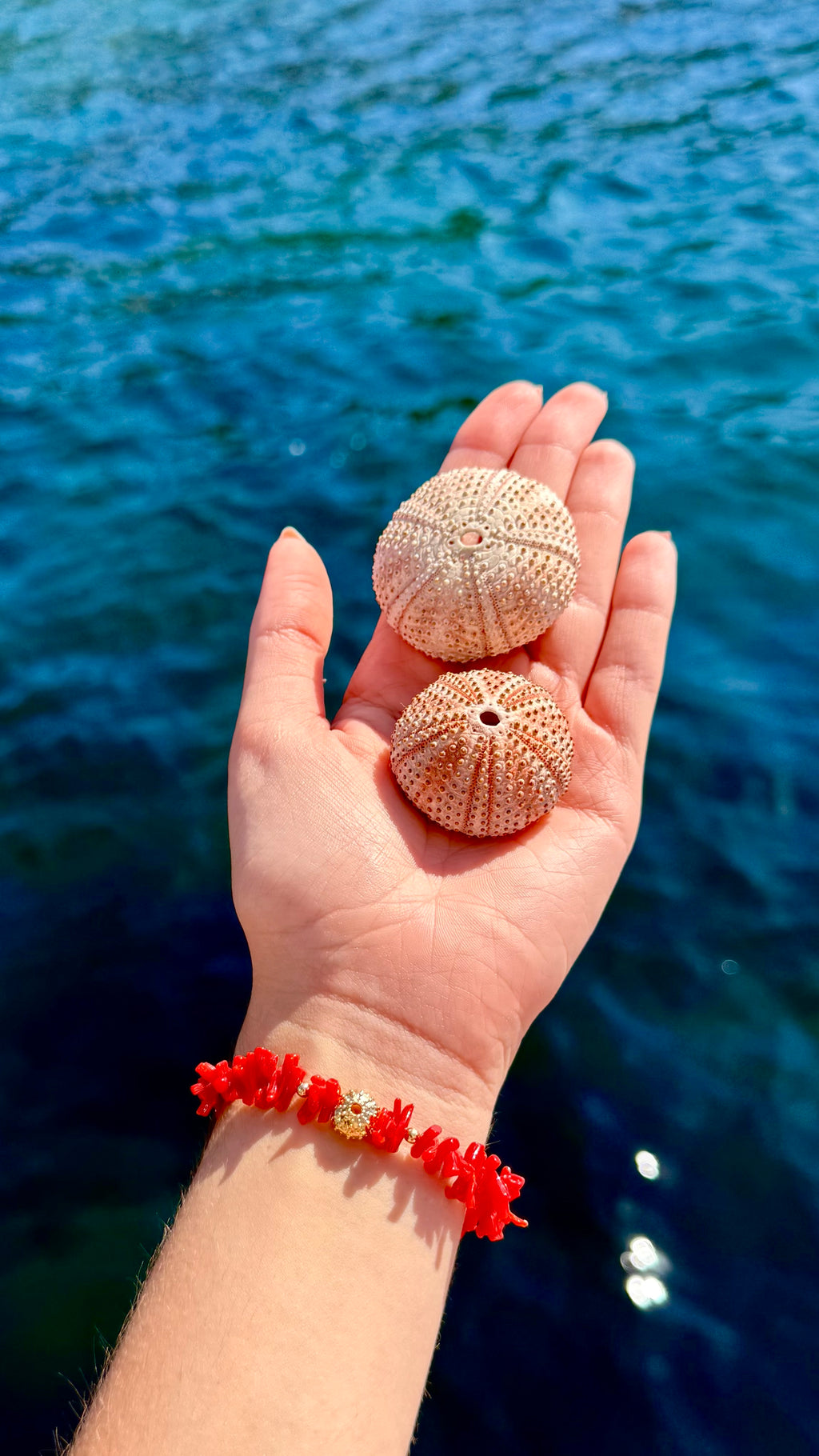 Bracelet « Oursin » Corail de Bonifacio