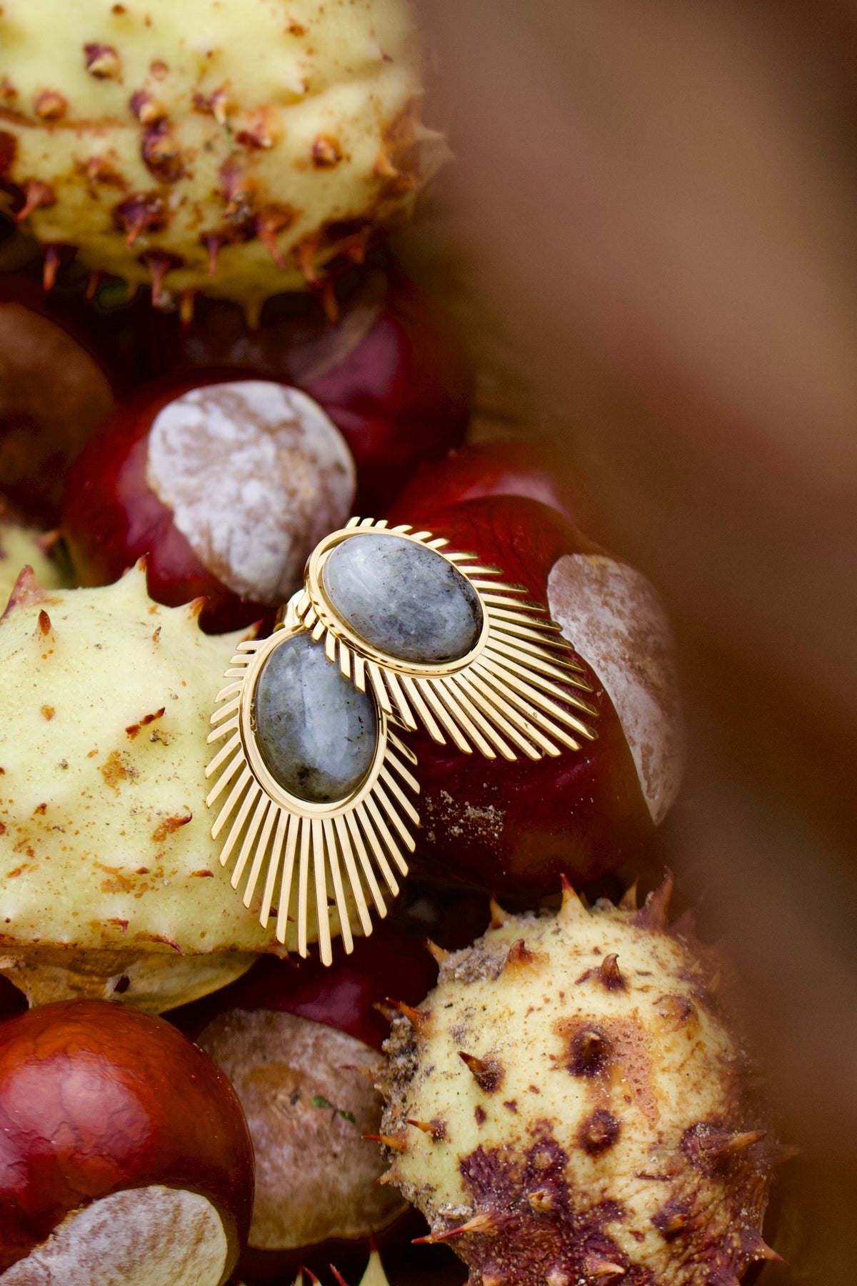 Boucles d'oreilles « Canopée »