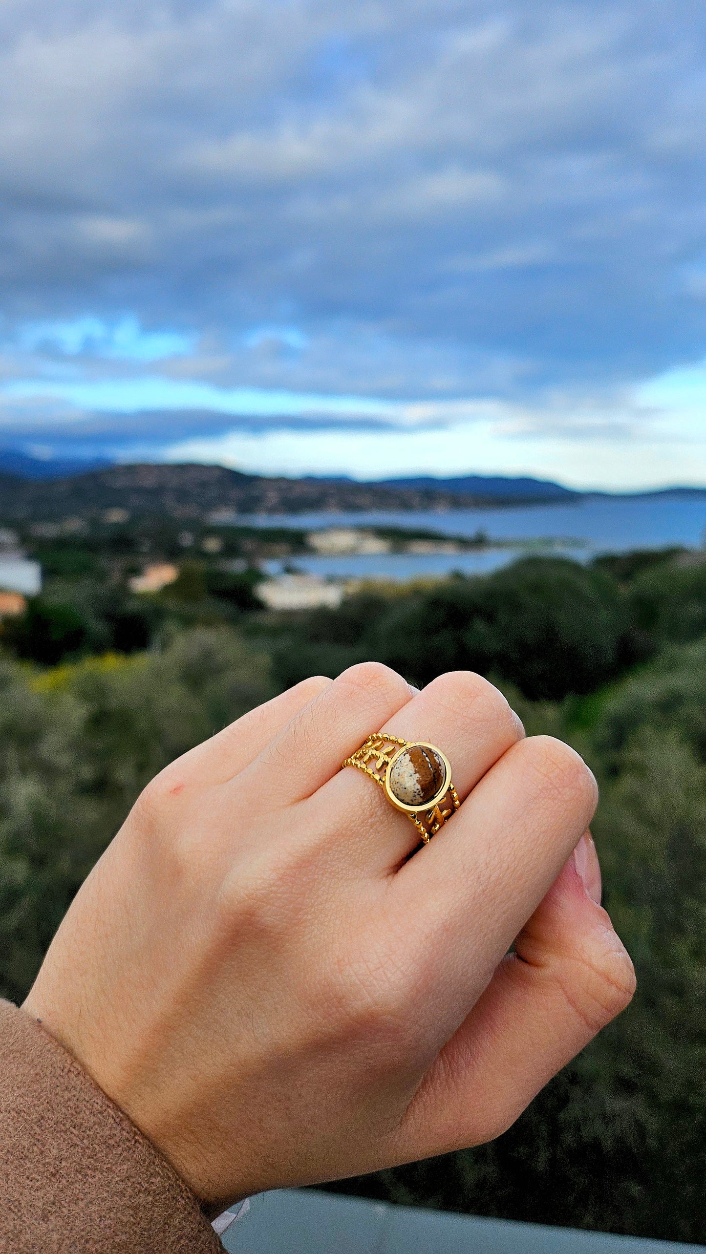 Bague Romaine en Jaspe paysage